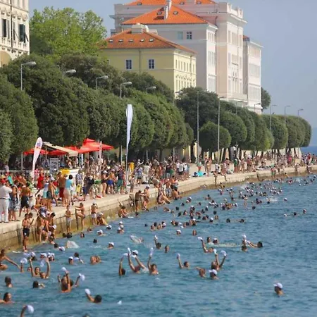 Mima * Zadar